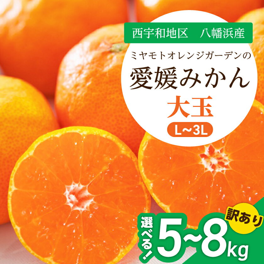 【ふるさと納税】大玉サイズのみ厳選!愛媛みかん(5kg/8kg)【訳あり】_ みかん 訳あり ミカン 蜜柑 大玉 愛媛 愛媛みかん 果物 くだもの フルーツ 柑橘 甘い おいしい 家庭用 自宅用 愛媛県 八幡浜市 国産 産直 産地直送 送料無料 【G1166254】