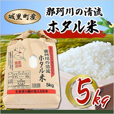 ふるさと納税 城里町 【令和6年産】城里町内・桂農産の【那珂川の清流ホタル米】　5kg
