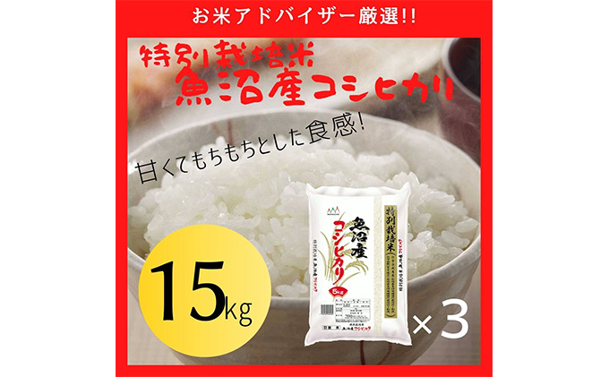 令和7年産『お米アドバイザー厳選！』魚沼産コシヒカリ 特別栽培米 精米15kg（5kg×3袋）
