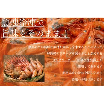 ふるさと納税 苫前町 【急速冷凍】北海道苫前産イバラエビ　500g×2《数量限定》(えび・海老・北海道・小分け・生) |  | 02