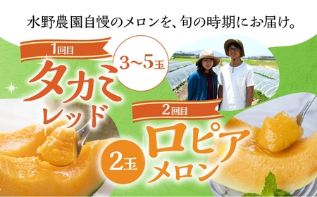 先行予約 赤肉メロン定期便 全2回 水野農園