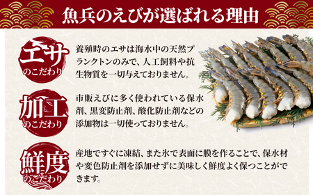 魚兵水産こだわりのブラックタイガー海老　 10尾5パック(計1200g程度)【配送不可地域：離島】【1215914】