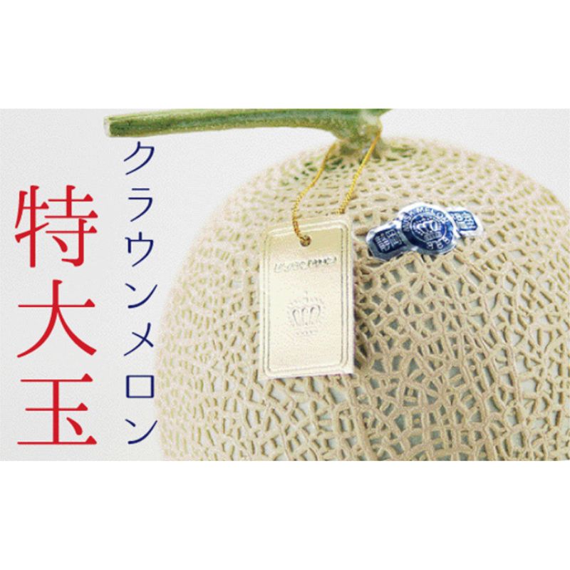 【ふるさと納税】クラウンメロン 白等級 特大玉 1玉 果物類 メロン 青肉 マスクメロン フルーツ 果物 高級メロン 静岡 静岡県 森町　お届け：1～2週間(時期・収穫状況により1ヶ月以上かかる場合がございます) ◆返礼品到着後、すぐに状態をご確認ください◆