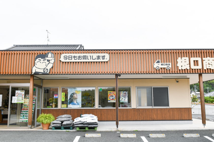 6回 定期便 ひとめぼれ & ササニシキ 食べ比べセット各5kg×6回 総計60kg [根口商店 宮城県 気仙沼市 20564710] 米 お米 白米 精米 ブランド米 ご飯 ごはん コメ こめ