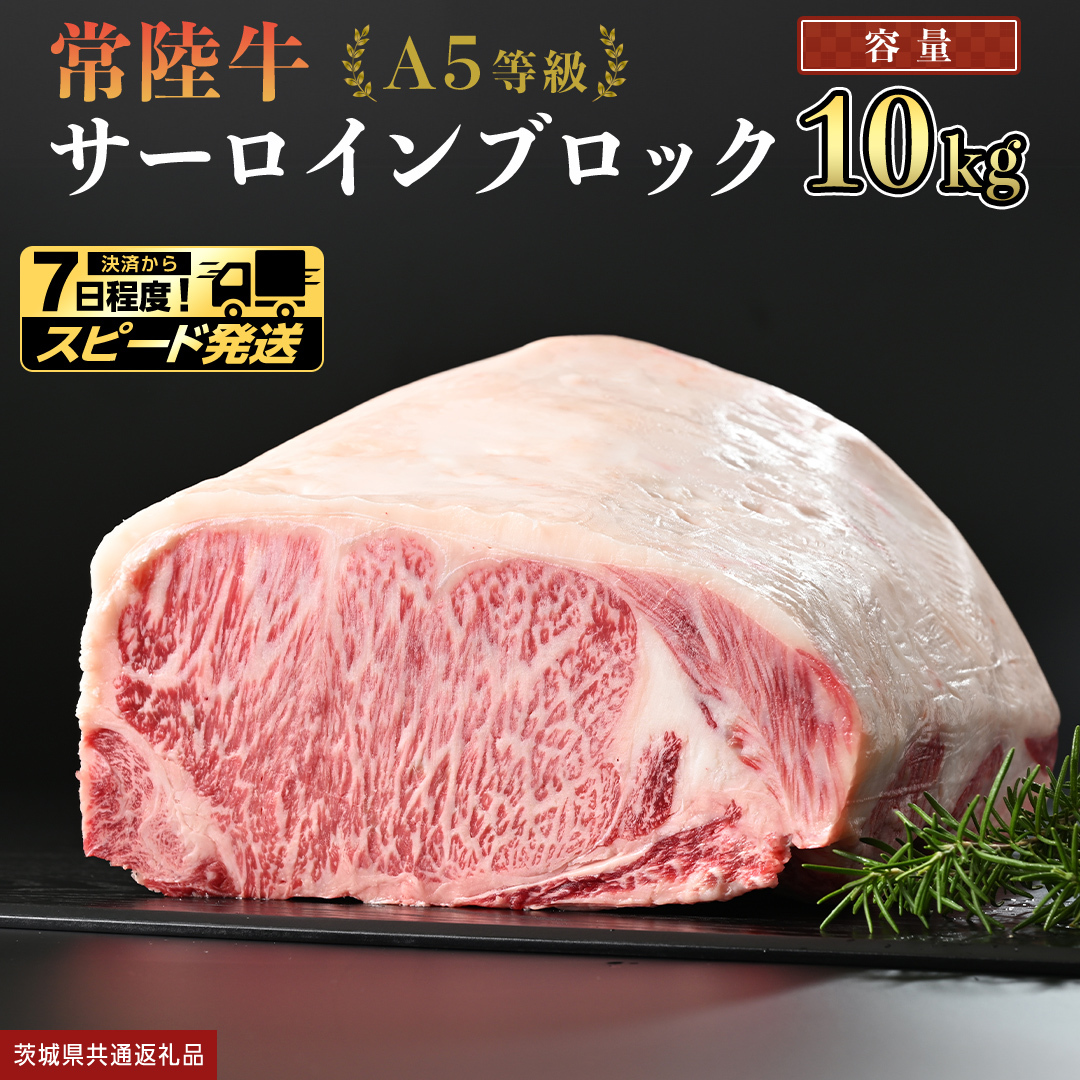 【 スピード発送 】【 常陸牛 】 A5等級 サーロイン ブロック 10kg (茨城県共通返礼品) 国産 ステーキ 焼き肉 ブロック肉 牛肉 やきにく ヒタチギュウ ひたちぎゅう ブランド牛肉 ブラン