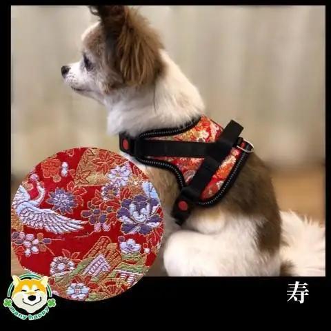 【 京都西陣金襴織 】小型犬ハーネス 華（寿）《柴犬柄コースター付き！》【柴犬コウタのハッピィショップ】［ 犬用ハーネス 背中に乗せてカチッと留めるだけ 胴輪 抜けにくい お正月 お祝い 人気 おすす