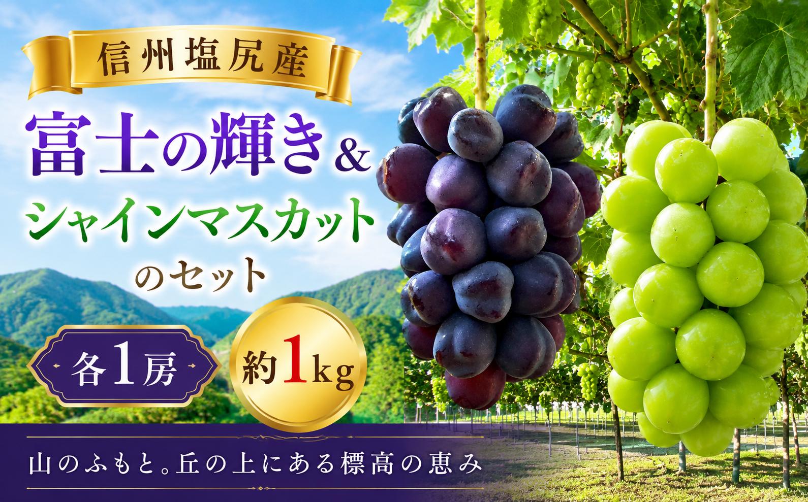 
                  【2026年先行予約】希少品種♪ 信州塩尻産 富士の輝き＆シャインマスカットのセット 各1房 約1kg【9月下旬頃～11月初旬にかけて順次発送予定】｜ 富士の輝き シャインマスカット 希少品種 ぶどう 葡萄 フルーツ 果物 YoshieVineyard 塩尻市 長野県 信州
                