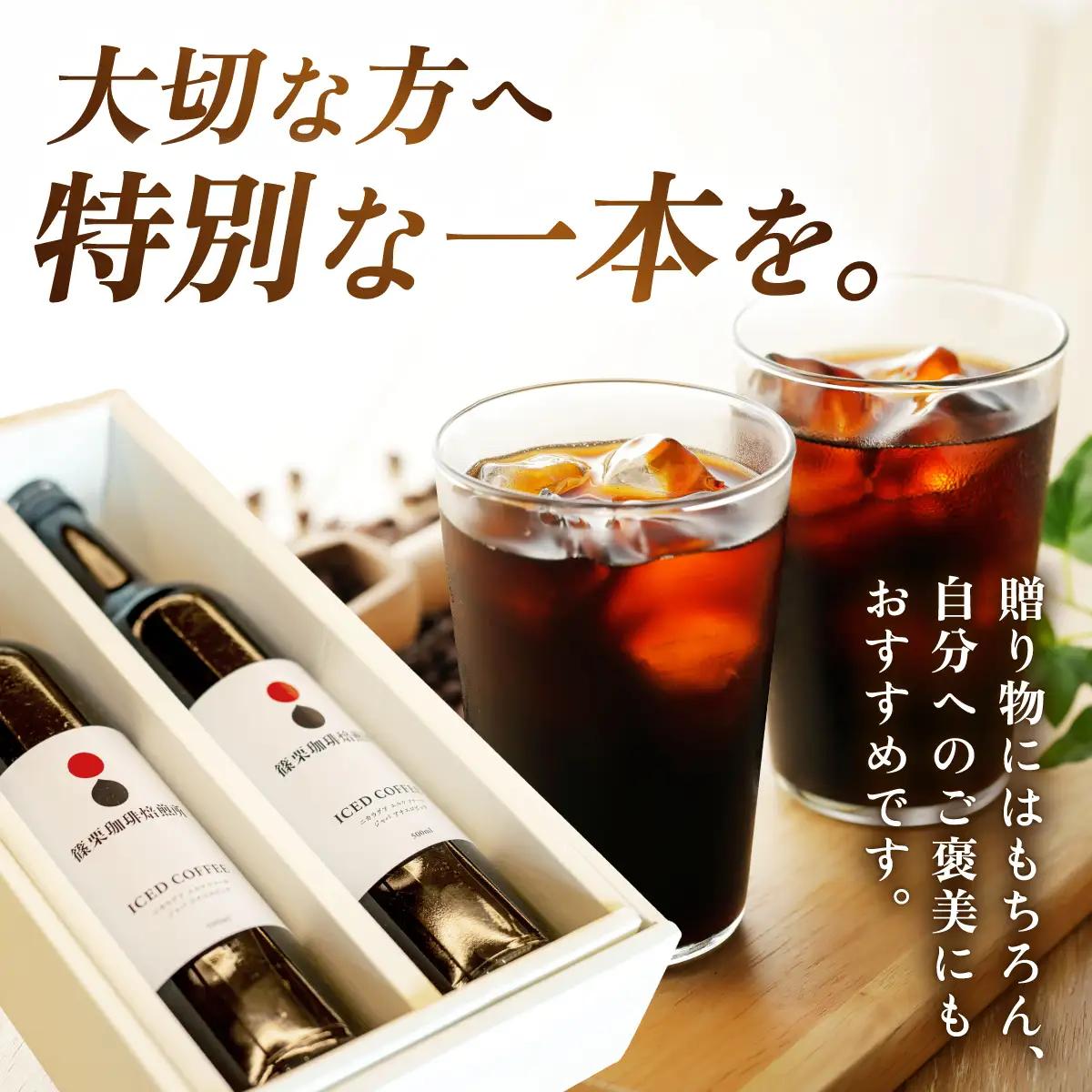 ボトルアイスコーヒー 500ml（箱入り）×2本【篠栗珈琲焙煎所】【AX06】 | ふるさと納税 アイスコーヒー ボトルコーヒー コーヒー 無糖アイスコーヒー 500ml 珈琲 スペシャルティコーヒー