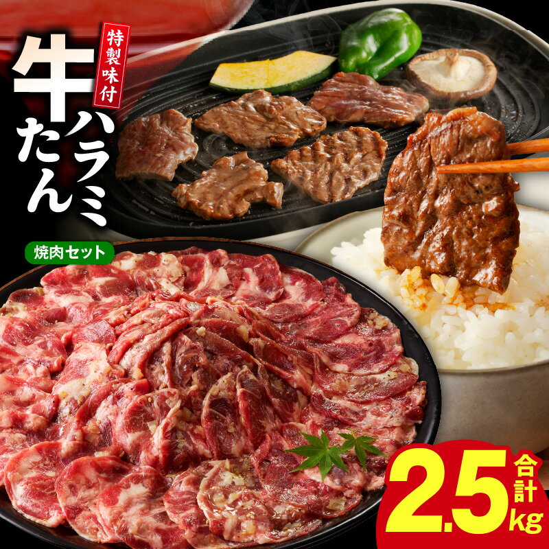 【ふるさと納税】牛タン＆牛ハラミ 2.5kg 焼肉セット 発送時期が選べる ねぎ塩 成型牛たん ハラミ 牛肉 焼肉用 BBQ 薄切り スライス 訳あり サイズ不揃い 柔らかい 小分け 冷凍 簡単調理 秘伝のたれ タレ漬け 大阪府 泉佐野市 送料無料 肉の泉佐野