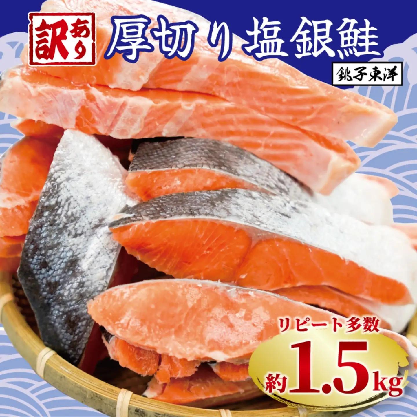 訳あり 銀鮭 1.5kg 鮭
