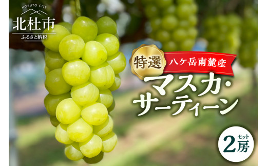 【2025年先行予約】八ケ岳南麓産「特選 マスカ・サーティーン」  マスカ・サーティーン 2025年 先行予約 ぶどう 2房 セット 特選 期間限定 数量限定 冷蔵 新品種 葡萄 ブドウ フルーツ 果物 弾力 大粒 甘い 山梨県 北杜市 八ヶ岳南麓