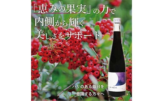 濃縮サンザシ500ml瓶 (3倍希釈タイプ)【 ギフト プレゼント お中元 お歳暮 贈答品 栃木県 足利市 】 F7Z-1370