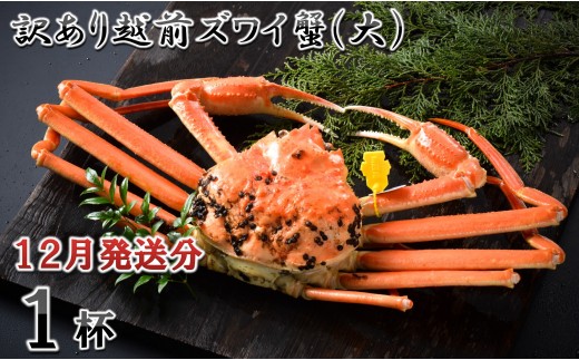 【電話連絡で安心】 訳あり≪茹で≫越前ズワイ蟹(大) 1杯【2026年12月発送分】 [I-1601_12]