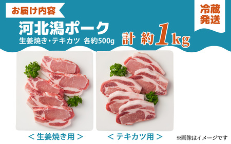 河北潟ポーク 生姜焼き & テキカツセット 約1kg | 豚肉 ブランド豚