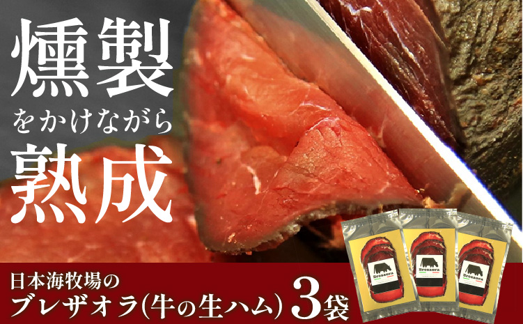 【クリスマスまでにお届け（12月20日～23日配送）】日本海牧場のブレザオラ（牛の生ハム）3袋