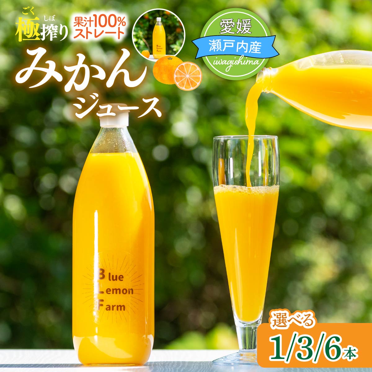 【ふるさと納税】＼選べる数量／ブルーレモンファーム ごくしぼりみかんジュース 1本/3本/6本(1L/本) 国産 みかん ジュース 柑橘 蜜柑 ミカン ジュース 飲料 ドリンク 温州みかん 添加物不使用