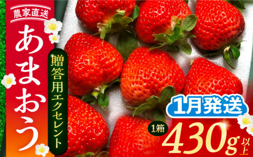 【2027年1月発送】 あまおう 贈答用 エクセレント 430g以上×1箱 《豊前市》【内藤農園】[VAB009] 果物 苺 イチゴ あまおう アマオウ 福岡 フルーツ いちご 先行予約