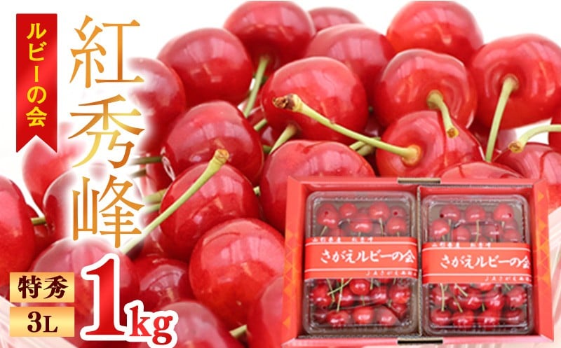 
                  【先行予約】 令和8年産 ルビーの会「紅秀峰」 1kg（500g×2パック） バラ詰め 特秀 3Lサイズ さくらんぼ  山形県産 2026年産【2026年6月中旬頃～7月上旬頃発送予定】《配送エリア限定：東北・関東・中部 ※離島配送不可》086-A-JA052
                