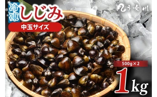 
                  しじみ 冷凍 中玉 1kg（500ｇ×2）砂抜き済み 涸沼川 う女川【シジミ オルニチン ミネラル ビタミンB12 出汁 肝臓 味噌汁 スープ 茨城県 水戸市】（IX-114）
                