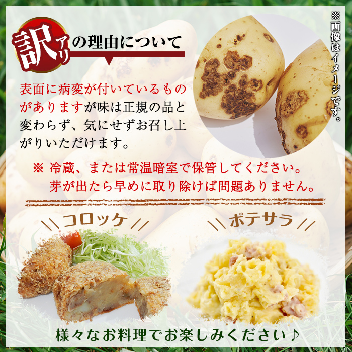y563 ≪訳あり≫湧水町産有機じゃがいも ニシユタカ 約10kg 国産 九州産 鹿児島産 有機野菜 有機栽培 じゃがいも ジャガイモ にしゆたか 野菜 やさい おかず 旬 わけあり 訳アリ 規格外 