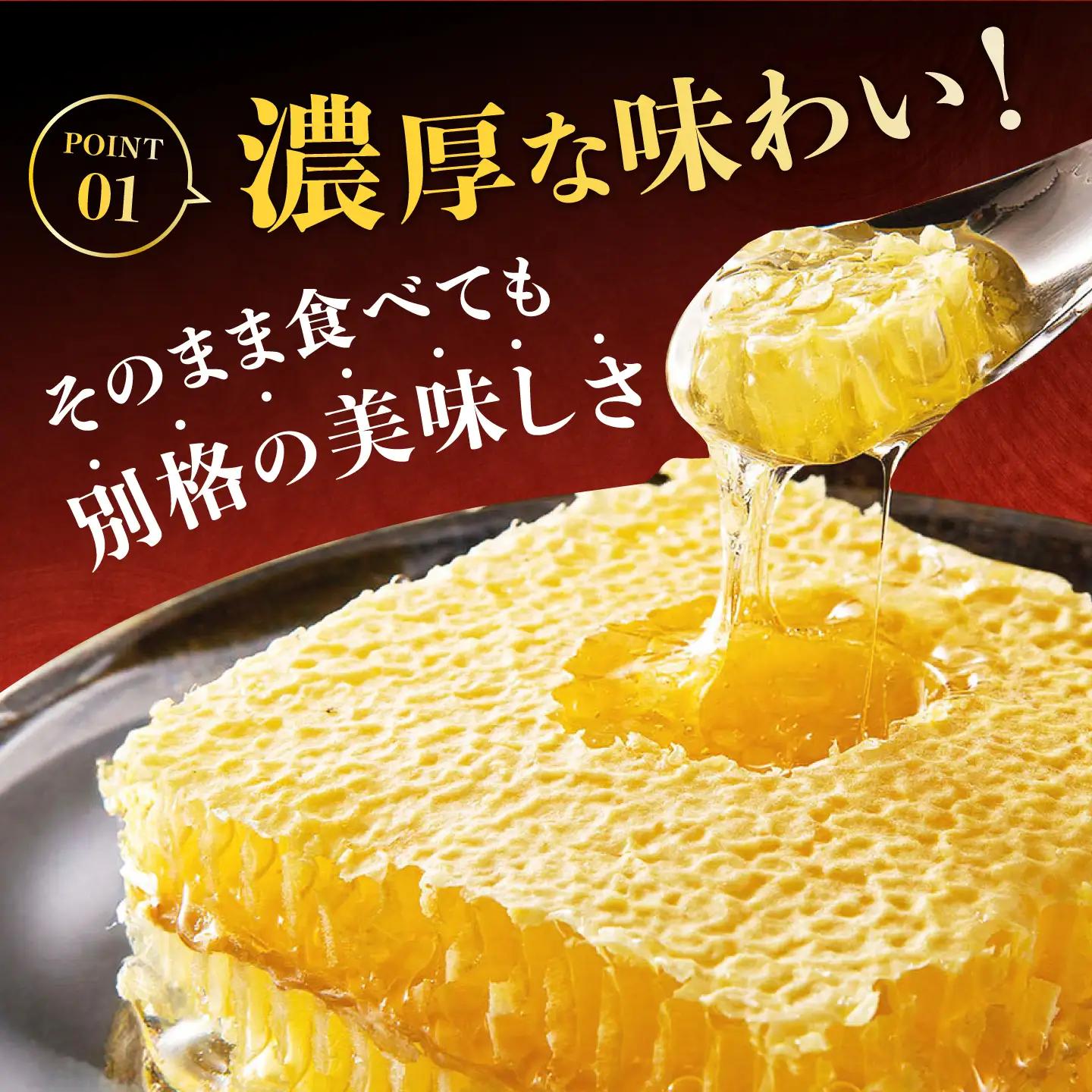 国産巣みつ 300g×4箱　広川町/株式会社九州蜂の子本舗[AFAI048]