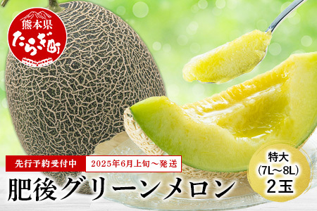 【2025年6月上旬から順次発送】 特大 肥後グリーンメロン 2玉 約5.4kg以上  ～ 果物 フルーツ グリーンメロン 先行予約 5.4kg 青肉 期間限定 数量限定 熊本県 多良木町  101-0002