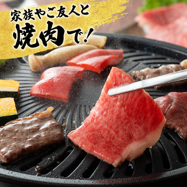 【6ヶ月定期便】宮崎牛定期便B（ ステーキ ・ 焼肉 ） 全6回　牛肉[E11134t6]
