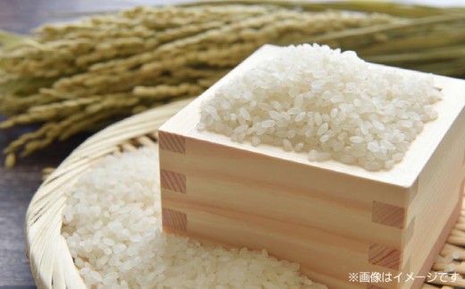 令和8年産米　淡路島産コシヒカリ　白米10㎏
