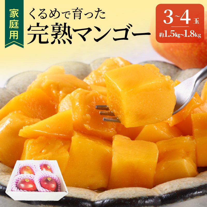 【2027年7月以降お届け】【家庭用】くるめで育った完熟マンゴー（3～4玉：約1.5～1.8kg）_家庭用 トロ～ッと口のなかでとろける くるめで育った 完熟マンゴー 3玉 ～ 4玉 甘い 子供も安心
