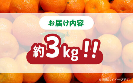【2026年11月下旬-発送】【高糖度】温州みかん 約3kg / みかん ミカン 蜜柑 果物 フルーツ / 南島原市 / 南島原果物屋[SCV021]