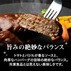 大分の恵みハンバーグ約1.6㎏（約160g×10個） A05067