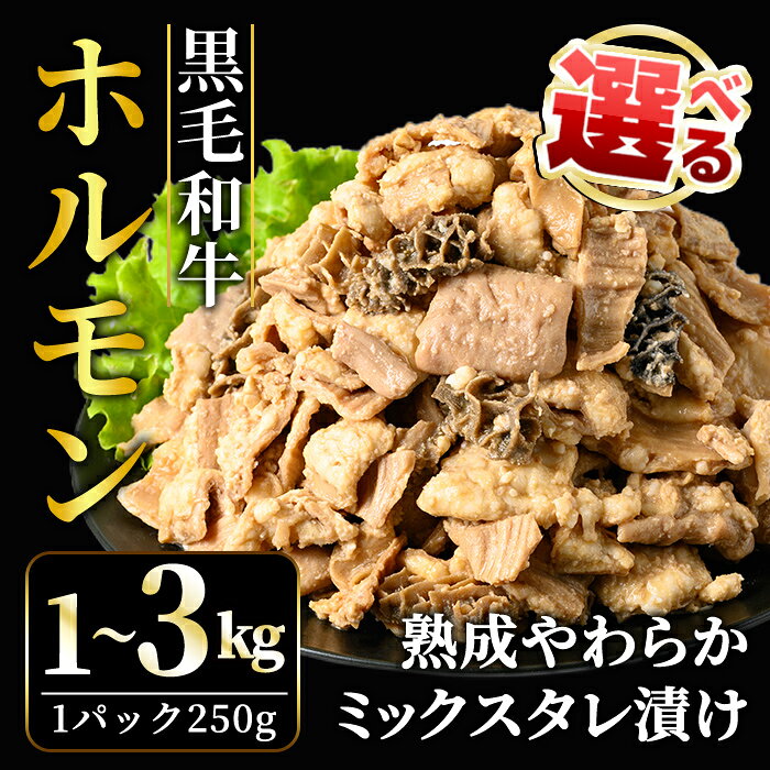 【ふるさと納税】＜選べる内容量＞ 黒毛和牛熟成やわらかミックスたれ漬けホルモン焼 1kg・2kg・3kg（250g小分け） 牛肉 黒毛和牛 ホルモン ミックス タレ 味付け肉 焼肉 小分け 惣菜 おかず 弁当 冷凍 【そうざい男しゃく（株式会社池延）】【ho1491】【ho1492】【ho1493】