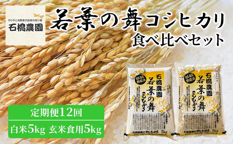 
米 若葉の舞 コシヒカリ 白米5Kg玄米食用5Kg 食べ比べセット 定期便12回 こしひかり お米 白米 玄米 セット 食べ比べ 定期便 精米 千葉 千葉県 低温保存 [№5346-0823]
