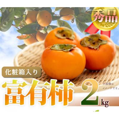 ふるさと納税 由良町 【2026年発送】和歌山秋の味覚　富有柿　約2kg　化粧箱入