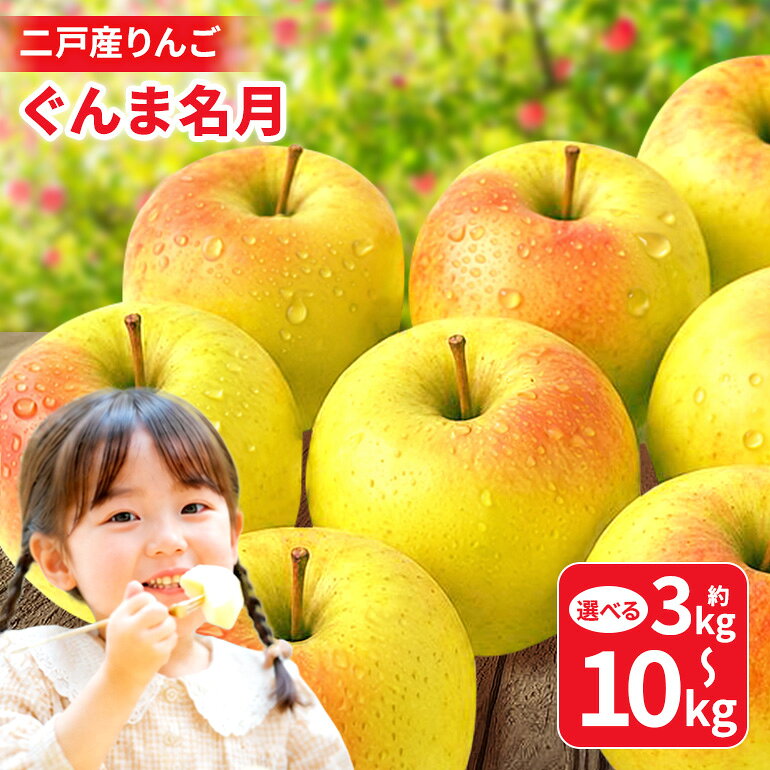【ふるさと納税】 二戸産りんご ぐんま名月 選べる容量　約3kg~10kg 008-0784x1