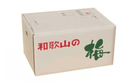 【梅干・梅酒用】（4Lまたは3L－2Kg）熟南高梅＜2025年6月上旬～7月上旬ごろに順次発送予定＞/ 梅 生梅 梅干し 梅シロップ 青梅【art006A】