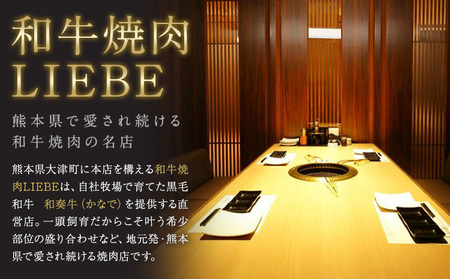 A5 A4 ランク 厳選 黒毛和牛 焼肉 2種盛り 900g《45日以内に出荷予定(土日祝除く)》熊本県 大津町 和牛焼肉LIEBE ステーキ 冷蔵 リーベ
