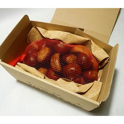 ふるさと納税 福知山市 秦栗園のあま〜い氷蔵丹波栗 筑波L1kg【熟成】11月上旬発送 |  | 03