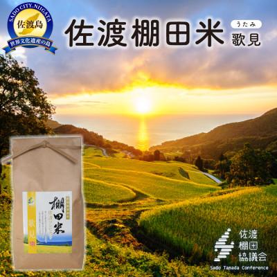 ふるさと納税 佐渡市 佐渡島産コシヒカリ 歌見棚田米 白米2kg(2kg×1袋)【令和7年産】精米