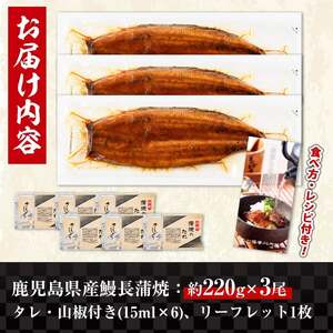 i1078-B-m 【母の日ギフト】＼特大サイズ／鹿児島県産 うなぎ蒲焼 3尾（約220g×3・計約660g） たれ 山椒付きうなぎ 鰻 ウナギ 特大 特大サイズ 約220g 蒲焼き 国産 鹿児島県産