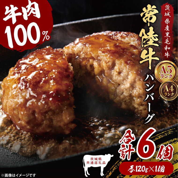 【ふるさと納税】【茨城県共通返礼品】常陸牛100％ ハンバーグ 120g×6個｜ブランド牛 銘柄牛 和牛 黒毛和牛 国産 A5・A4ランク 等級 お肉 牛肉 真空 小分け 個包装 茨城県 大子町（DD020）