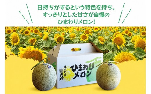 ひまわり メロン 赤肉 4～6玉 / 高級 北海道 高糖度 甘い  ※9月中旬から10月中旬に順次発送 【sun514-aka-46A】