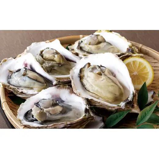 岩かき 【 殻付き 】 岩かき 3.5kg カキ 牡蠣 A174