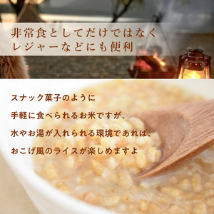 利根町産米100％使用　水不要！そのまま食べられる【非常食・備食ライス】カレー味（40袋）