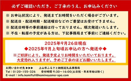 かみのやまシュー　８個　0048-2504