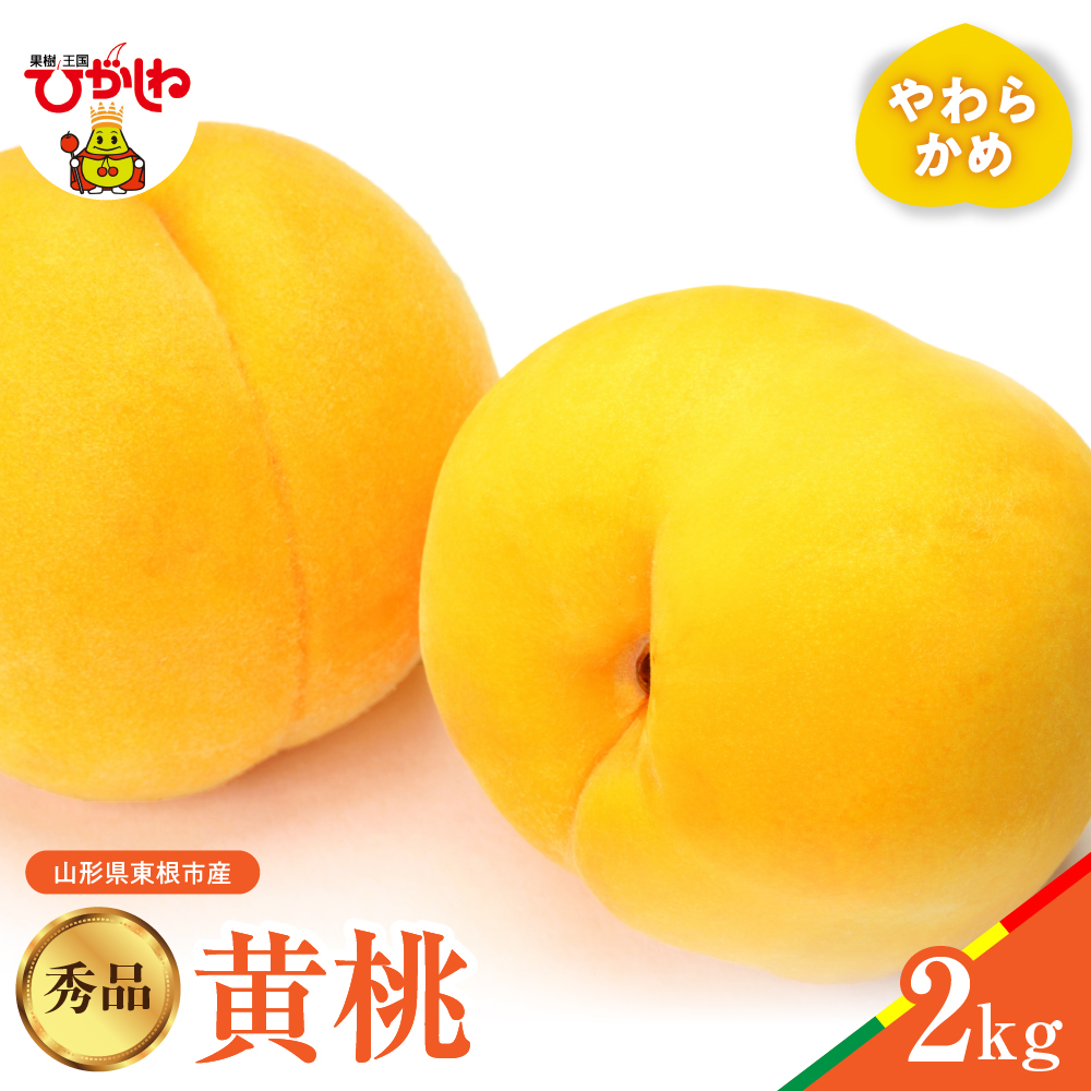【2026年産】黄桃 品種おまかせ 秀品2kg(やわらかめ) 松栗提供 山形県 東根市 hi062-062 黄桃 品種おまかせ 秀品2kg(やわらかめ)