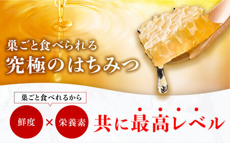 【先行受付 令和6年7月より発送】巣みつ・野山みつセット 合計440g　広川町 / 株式会社九州蜂の子本舗[AFAI002]