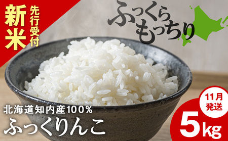 新米予約【11月発送】ふっくりんこ 5kg 【JA新はこだて】 知内町 ふるさと納税 こめ 北海道産お米 北海道米 美味しいお米 北海道産米 ブランド米