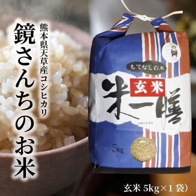 ふるさと納税 天草市 【令和7年産】新米コシヒカリ 玄米 5kg_S050-008A