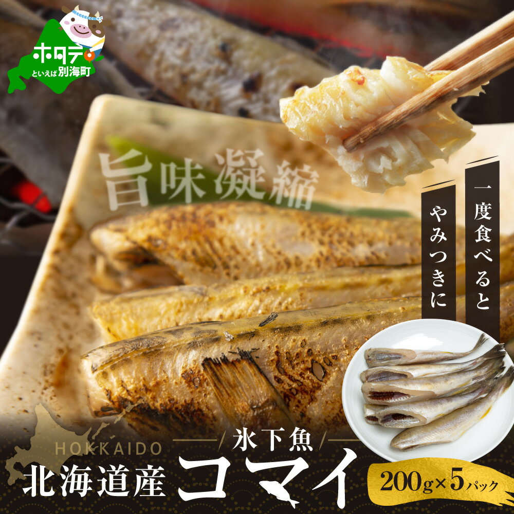 【ふるさと納税】北海道 産 干し こまい [ 200g × 5パック ]( こまい コマイ 干しこまい 干こまい 干しコマイ 干コマイ 魚 干物 北海道 北海道産 国産 ）